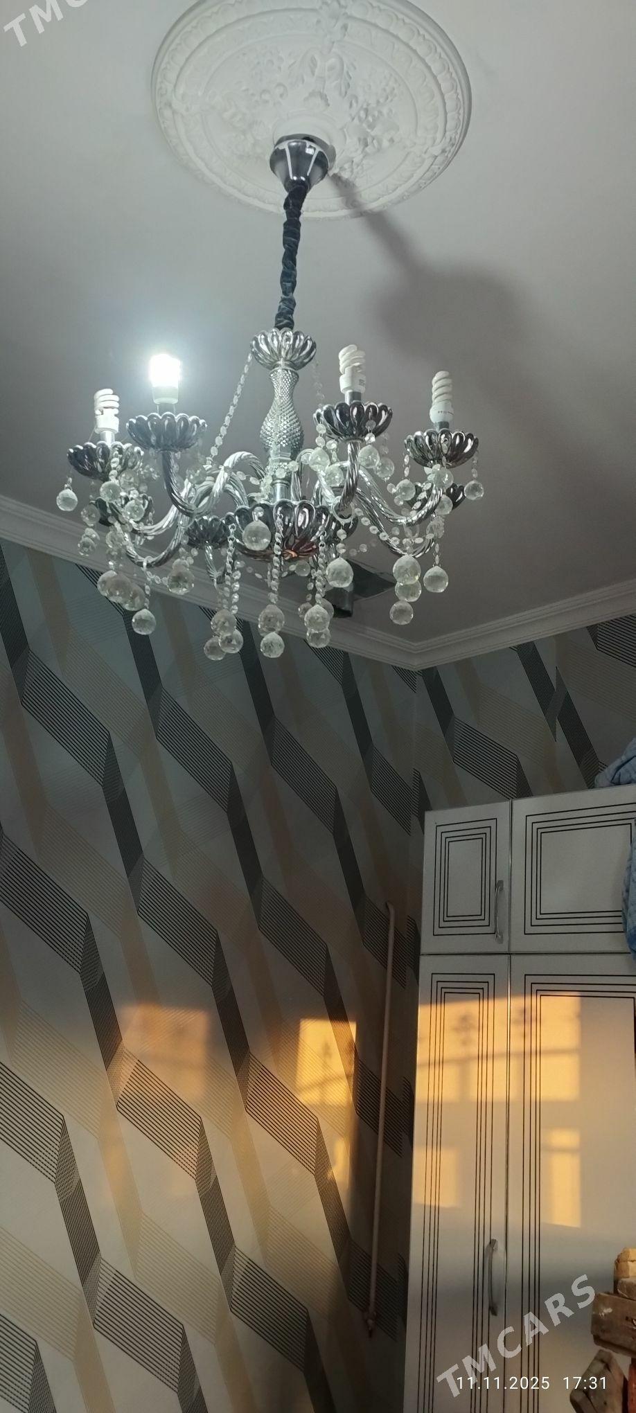 icki gapylar - Ak bugdaý etraby - img 4