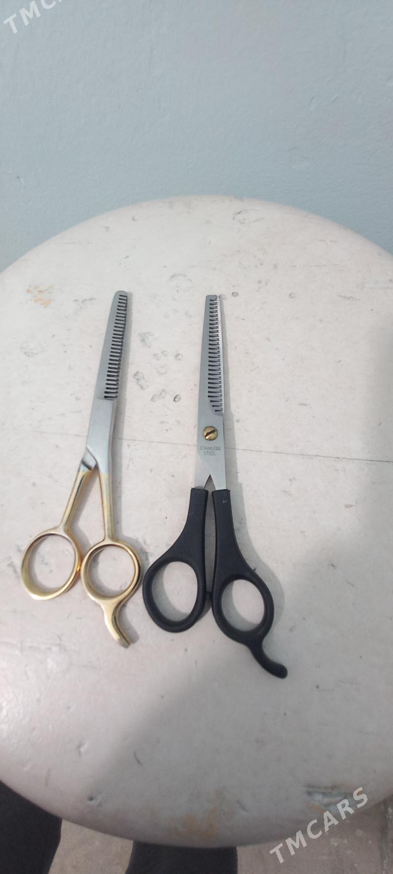 Gaycy - Aşgabat - img 1