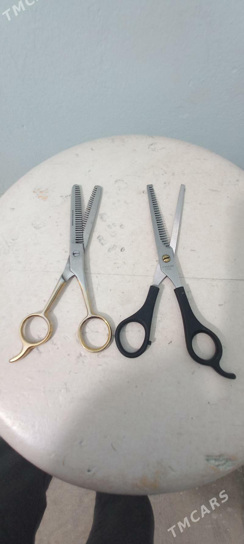 Gaycy - Aşgabat - img 2