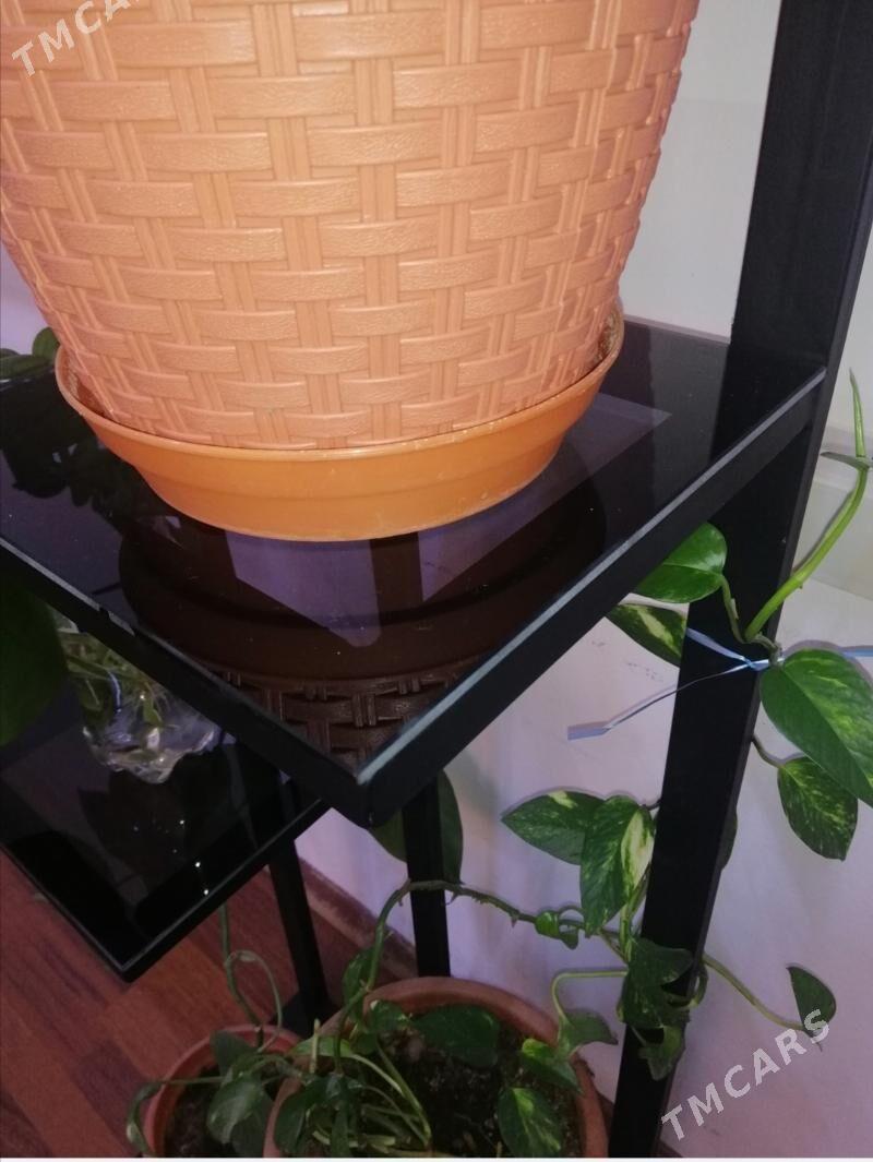 подставка для цветов - Aşgabat - img 3