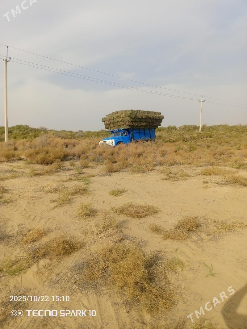 Ýanak pres - Ak bugdaý etraby - img 2