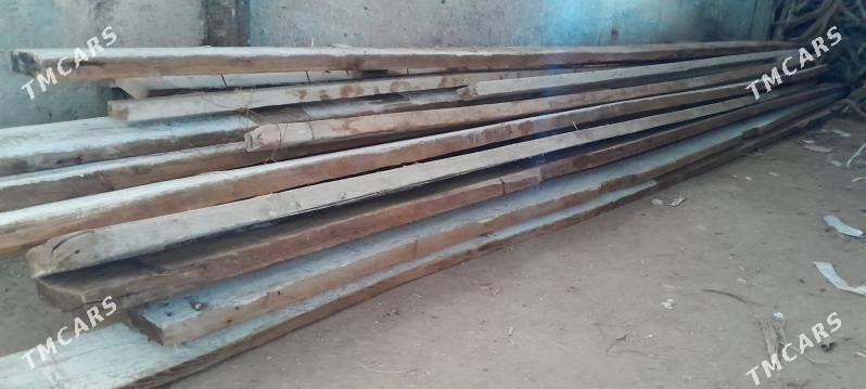 agac strapila - Bedew - img 1