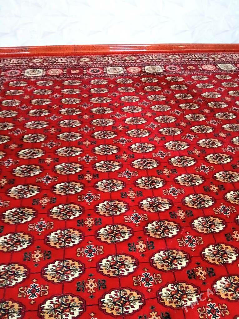 Halylar - Boldumsaz - img 2