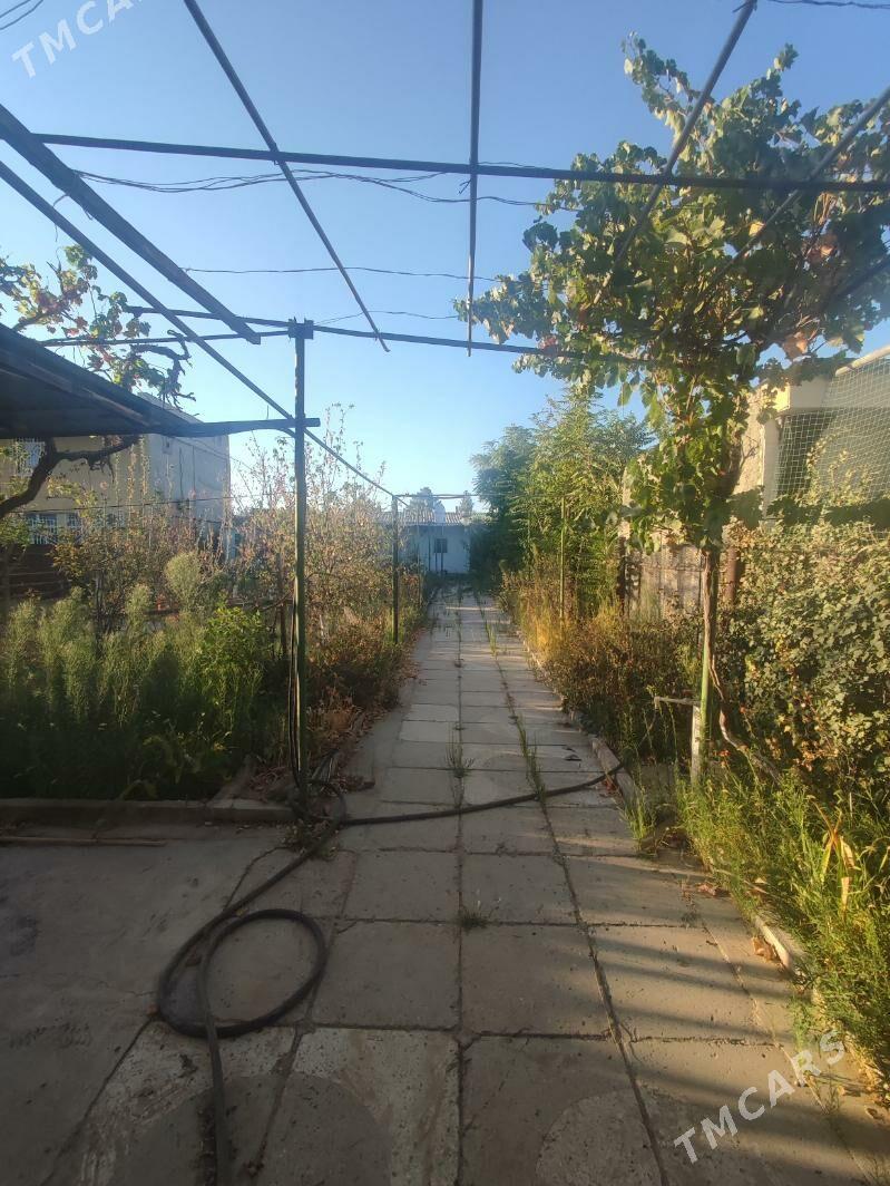 СРОЧНО ДАЧА САГЛЫК DAÇA SAGLYK - Aşgabat - img 2