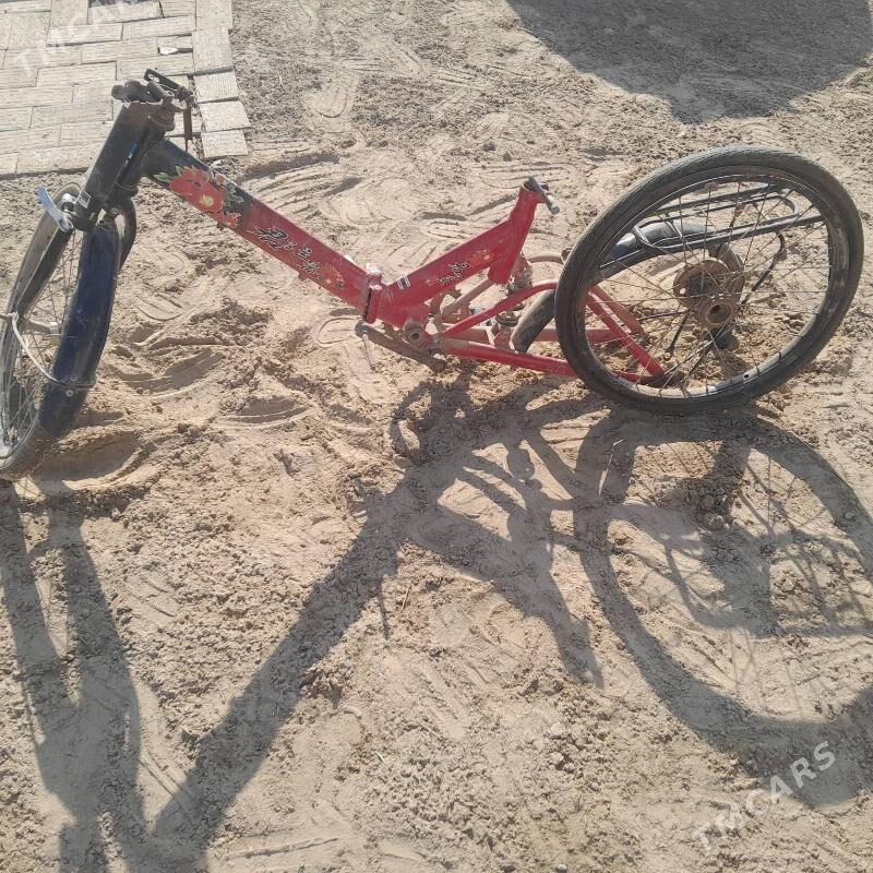 welsiped - Mary - img 3