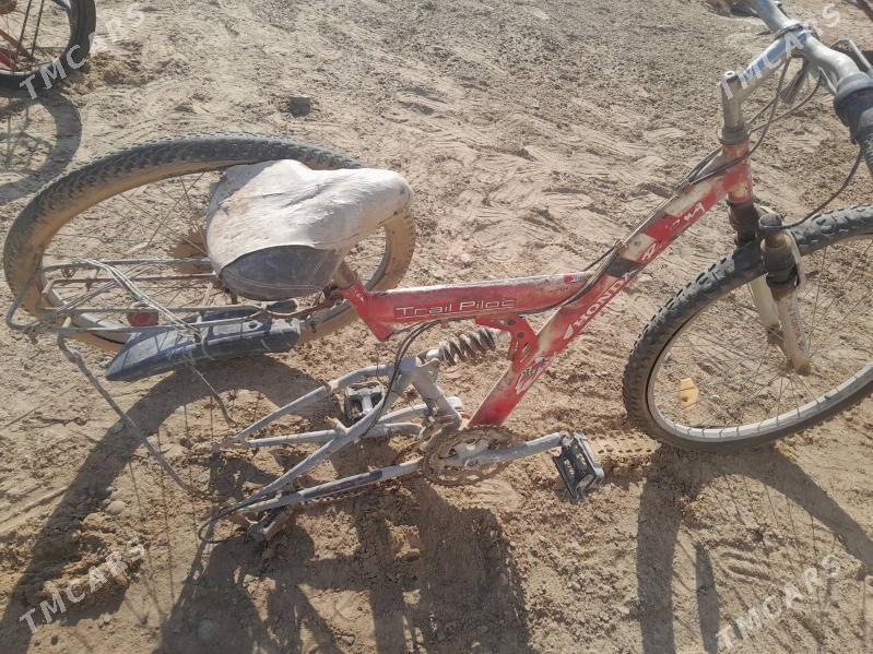 welsiped - Mary - img 2