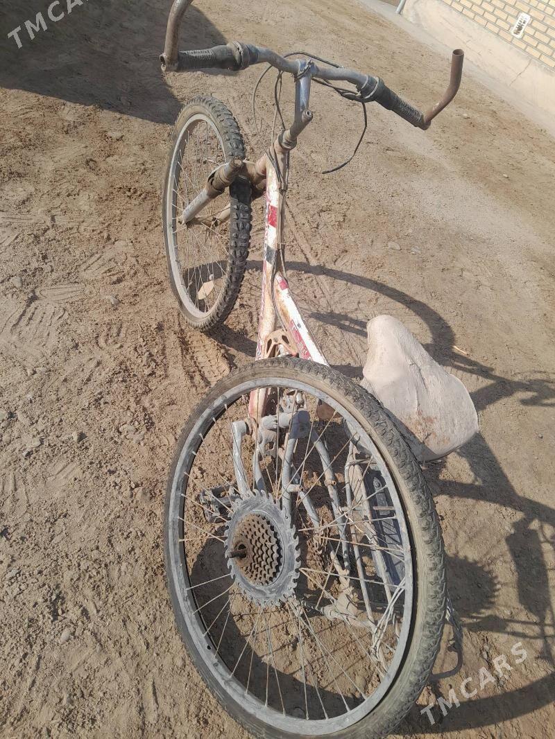 welsiped - Mary - img 1