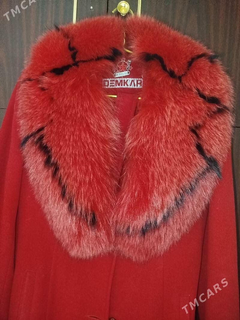 palto - Daşoguz - img 1