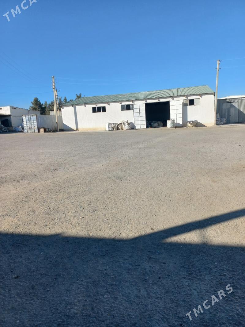 baklaşka seh - Бузмеин - img 1