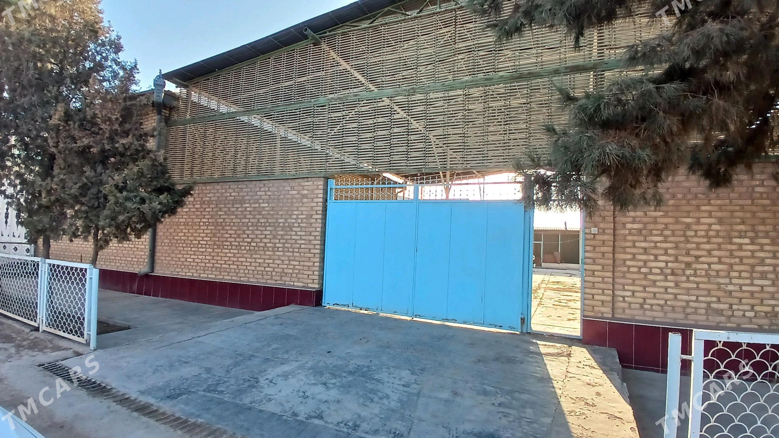 Tejen ş. Satlyk jaý - Теджен - img 2