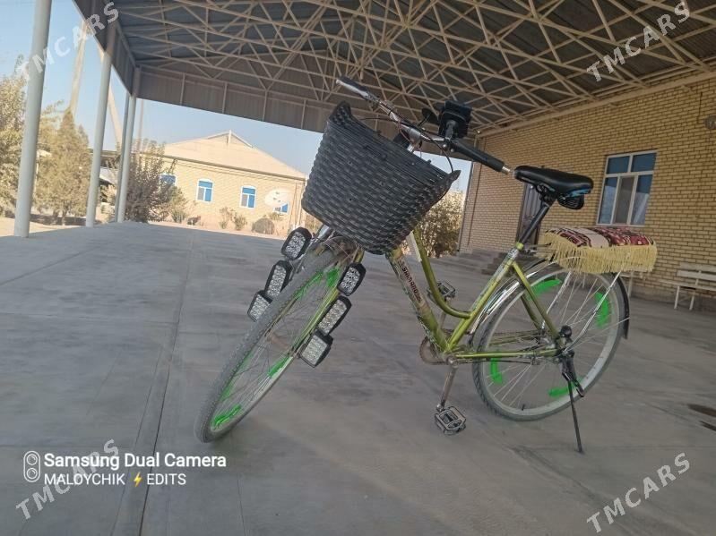 welik 26 - Murgap - img 3