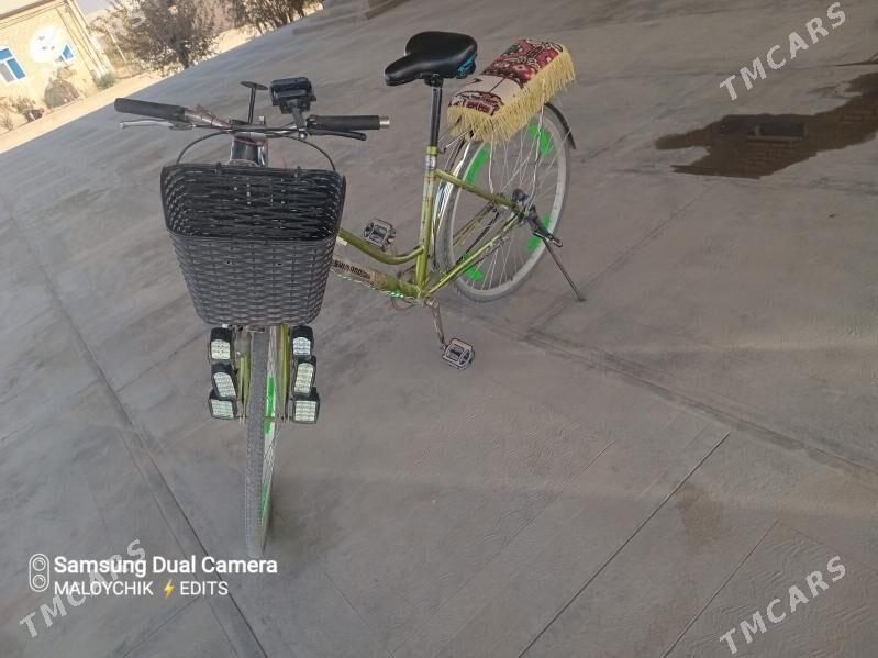 welik 26 - Murgap - img 4