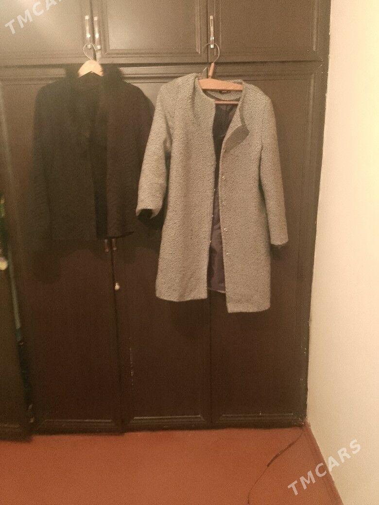 palto - Balkanabat - img 1