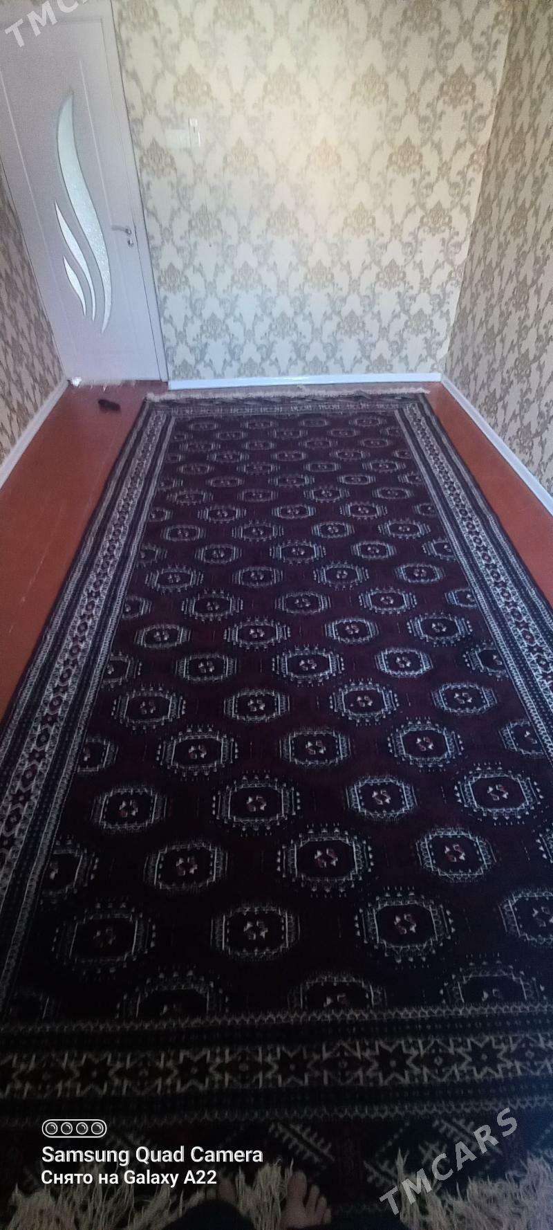 haly pendi gol - Balkanabat - img 1