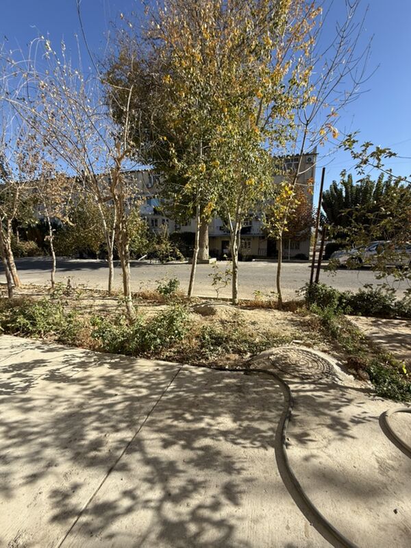 Мкр Mkr 2 komnat 1 etaž - Ашхабад - img 9