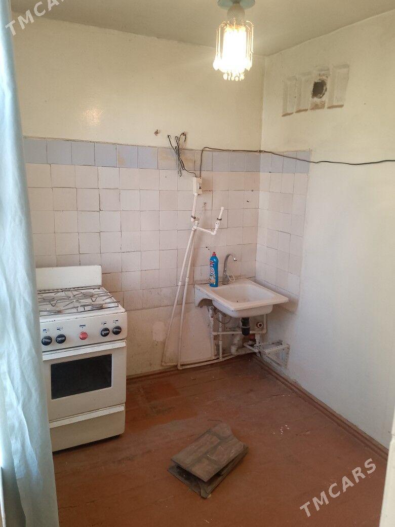 satlyk jay - Mary - img 3