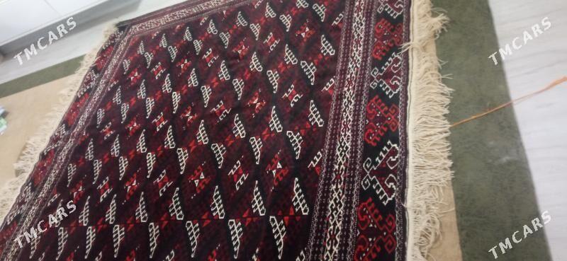 haly - Balkanabat - img 2