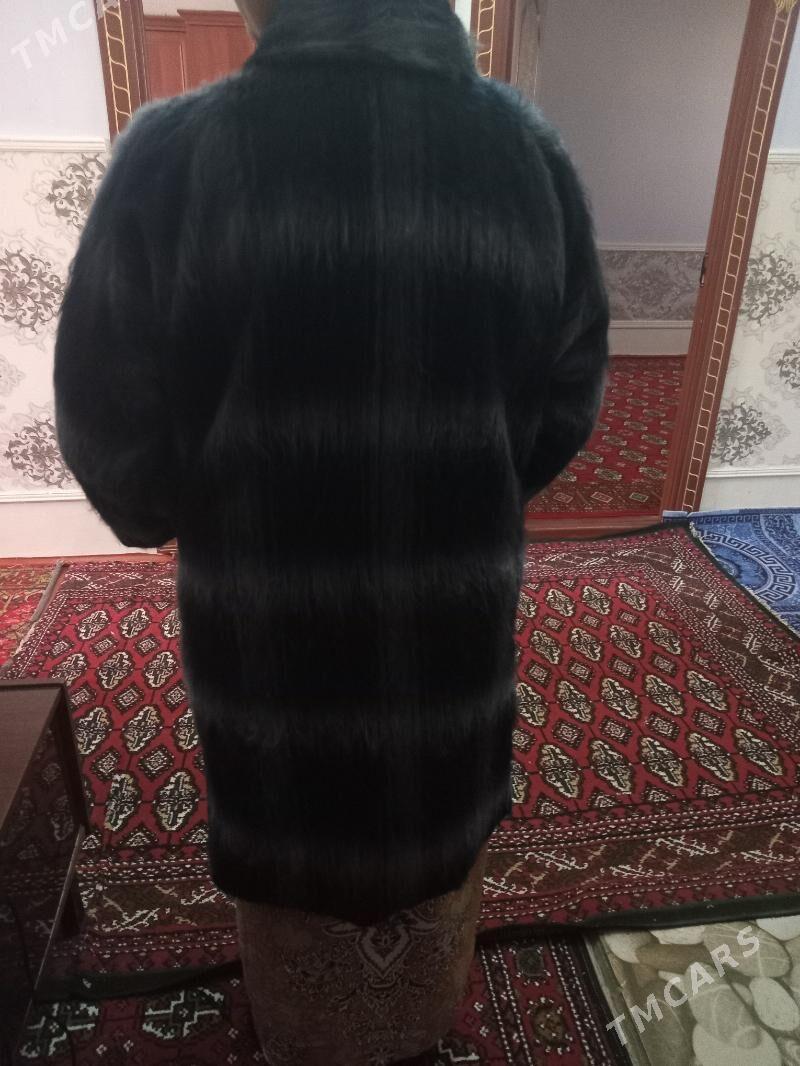 angorka kasyum - Daşoguz - img 3