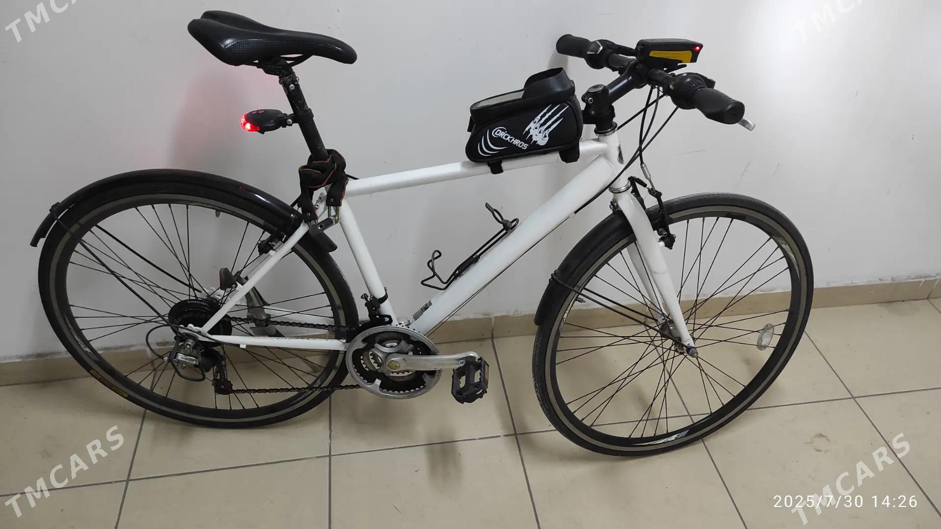 Tigir Original Spartiwnyy - 14 этап - Элитки (Улица Совхозная) - img 3