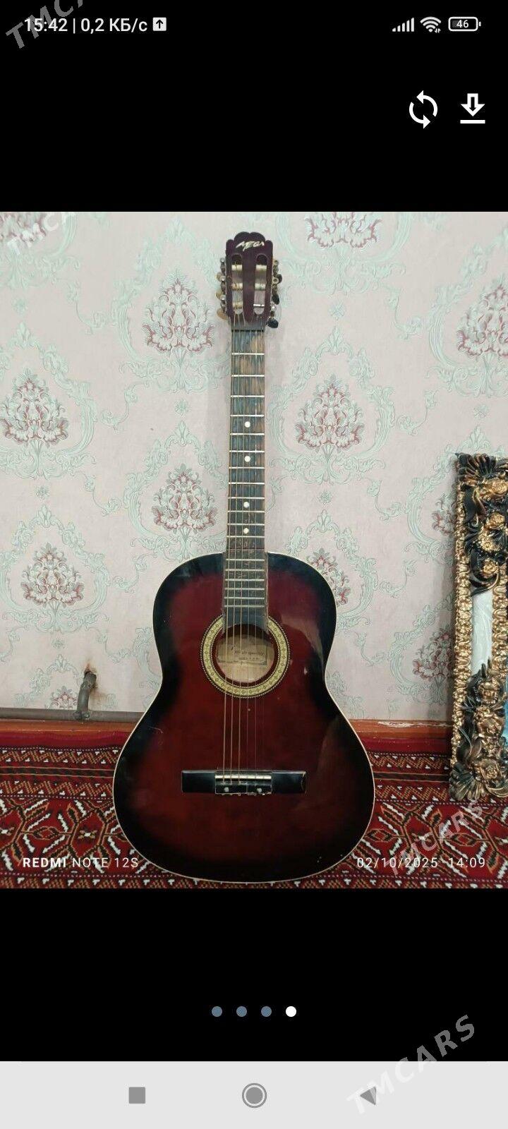 gitar MEGA - Сакарчага - img 2