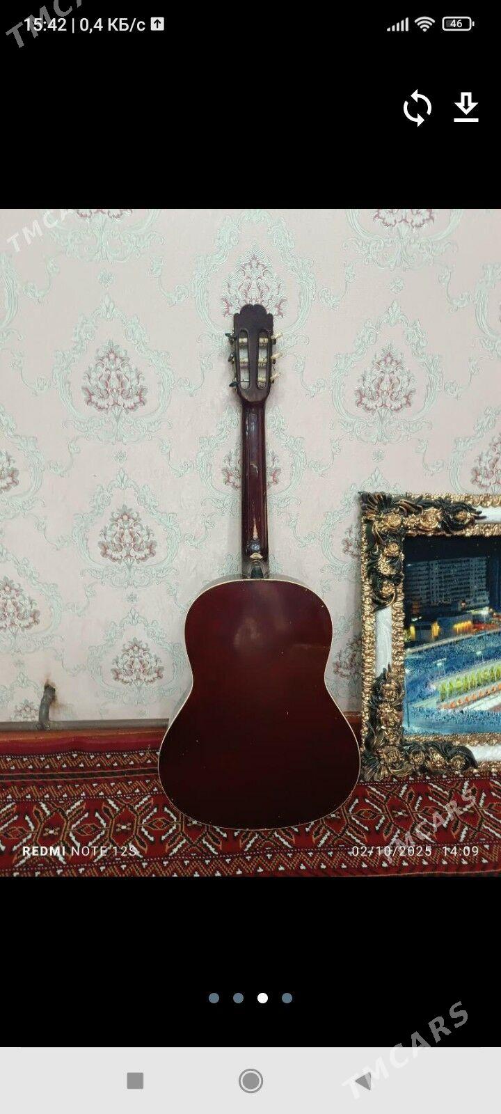 gitar MEGA - Сакарчага - img 3