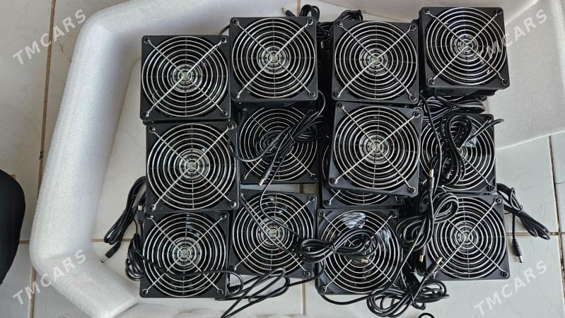 miska panda kuller - Mary - img 2