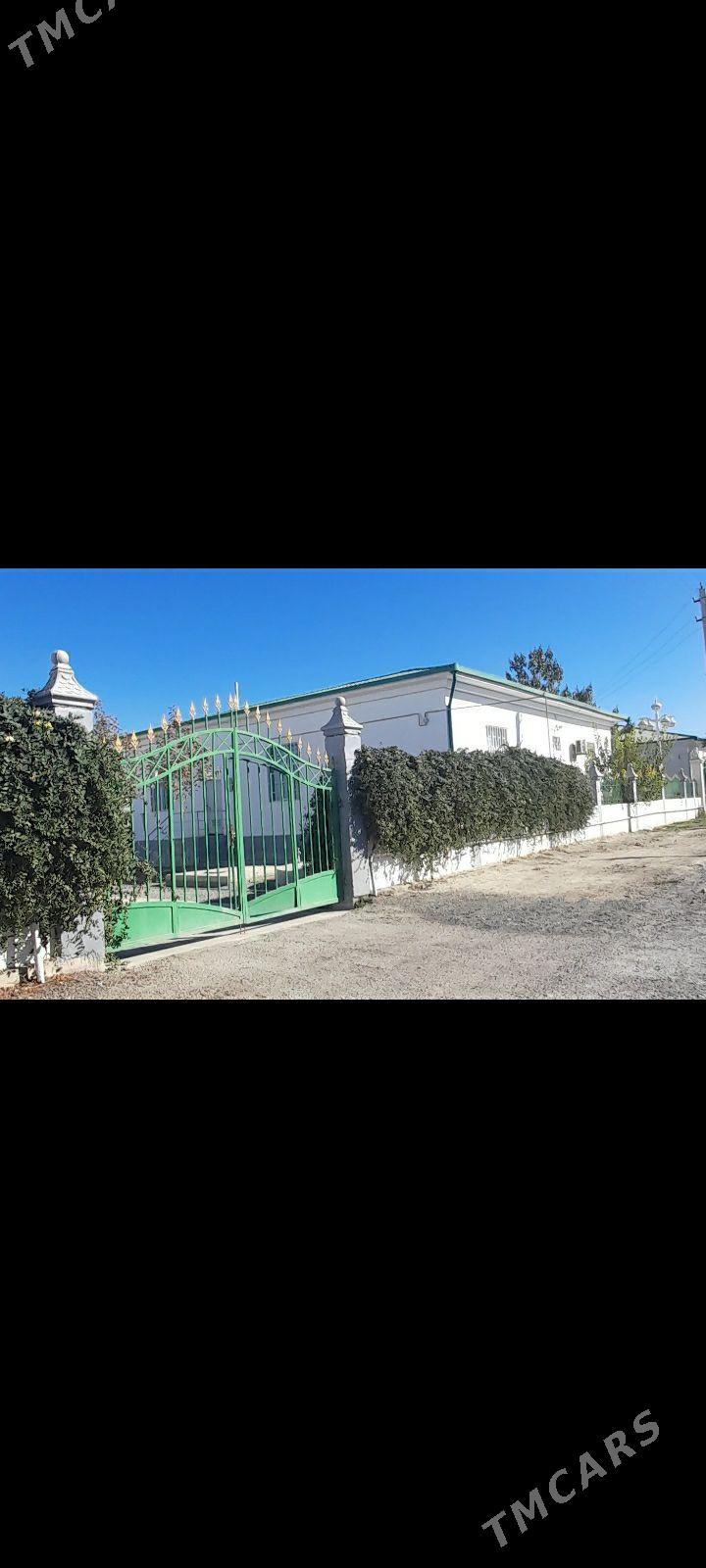 Gokdepe sorgala - Gökdepe - img 6