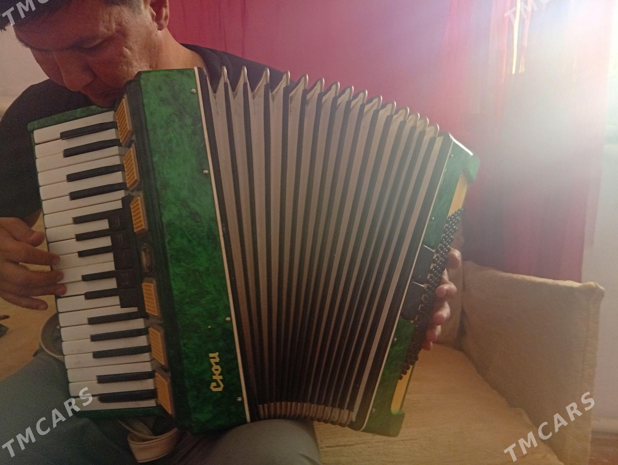 akardiyon saz guraly - Boldumsaz - img 3