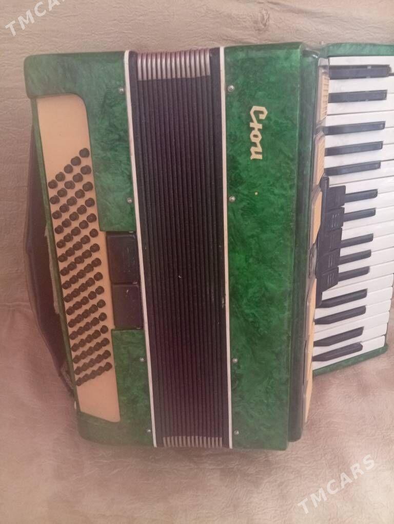 akardiyon saz guraly - Boldumsaz - img 1