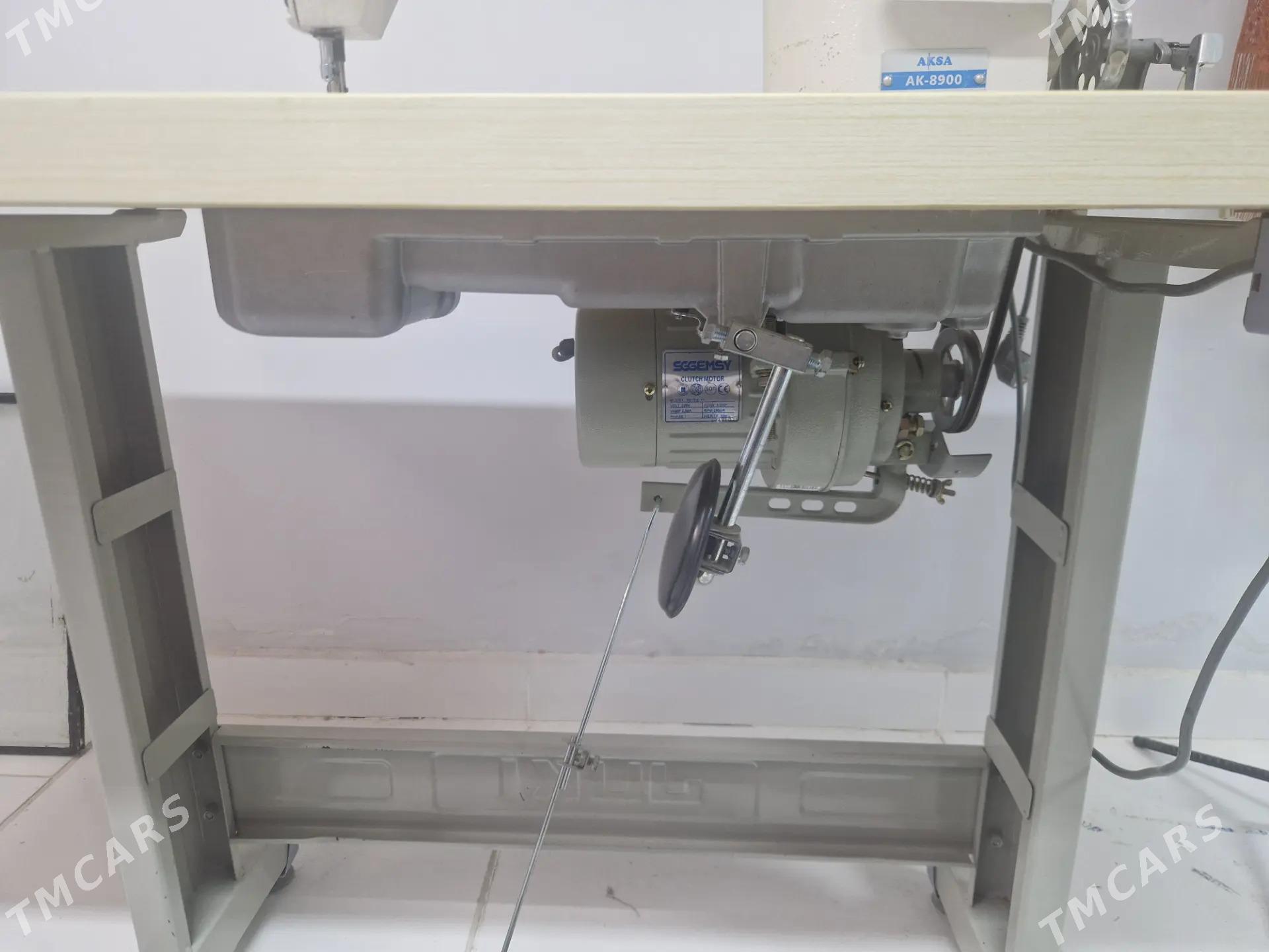 aksa - Ak bugdaý etraby - img 3