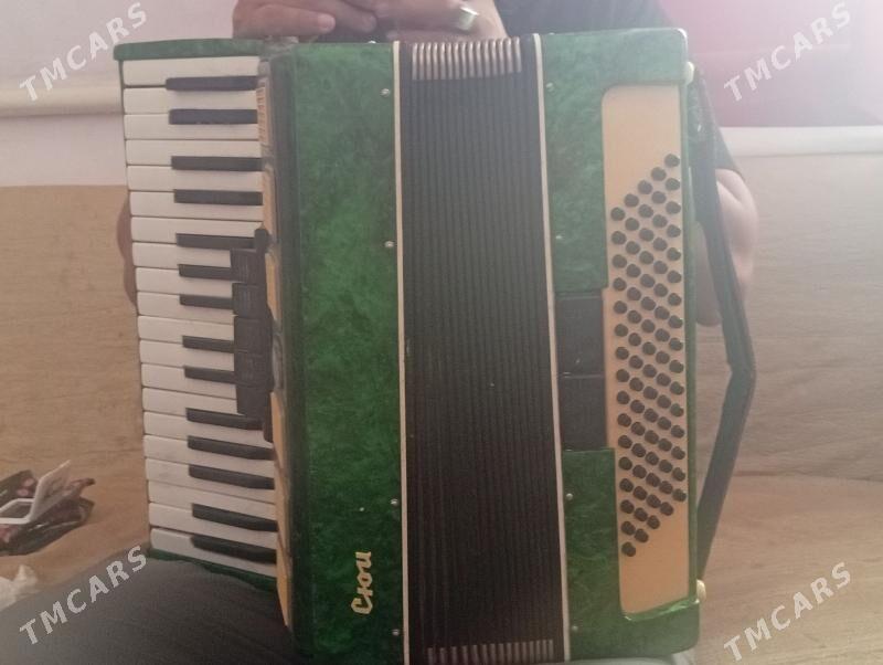 akardiyon saz guraly - Boldumsaz - img 2