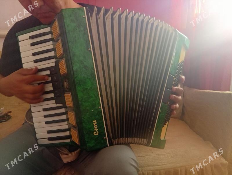 akardiyon saz guraly - Boldumsaz - img 5