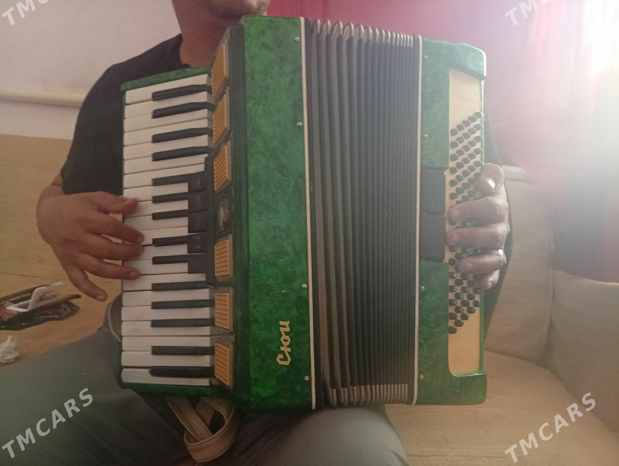 akardiyon saz guraly - Boldumsaz - img 4