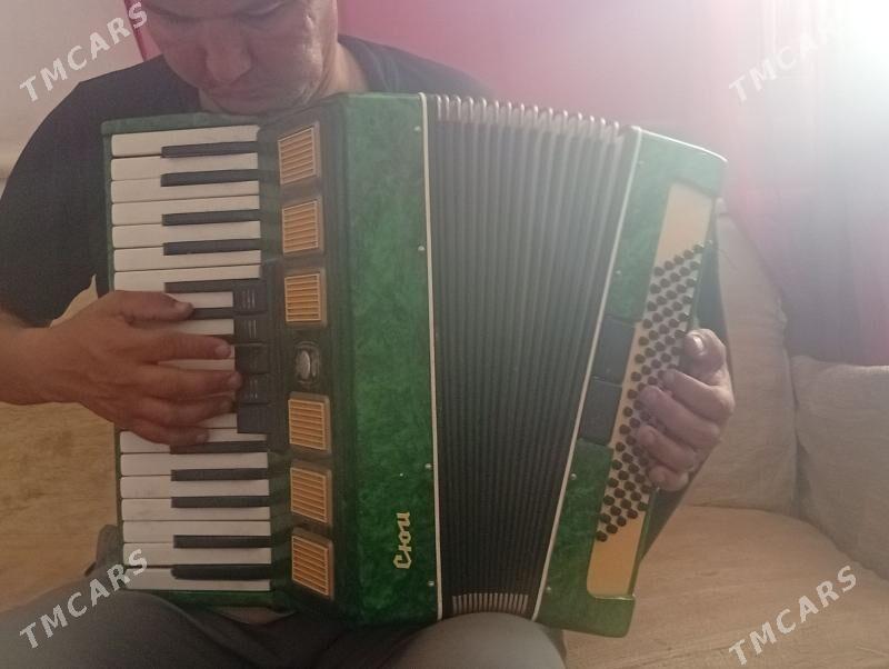 akardiyon saz guraly - Boldumsaz - img 6