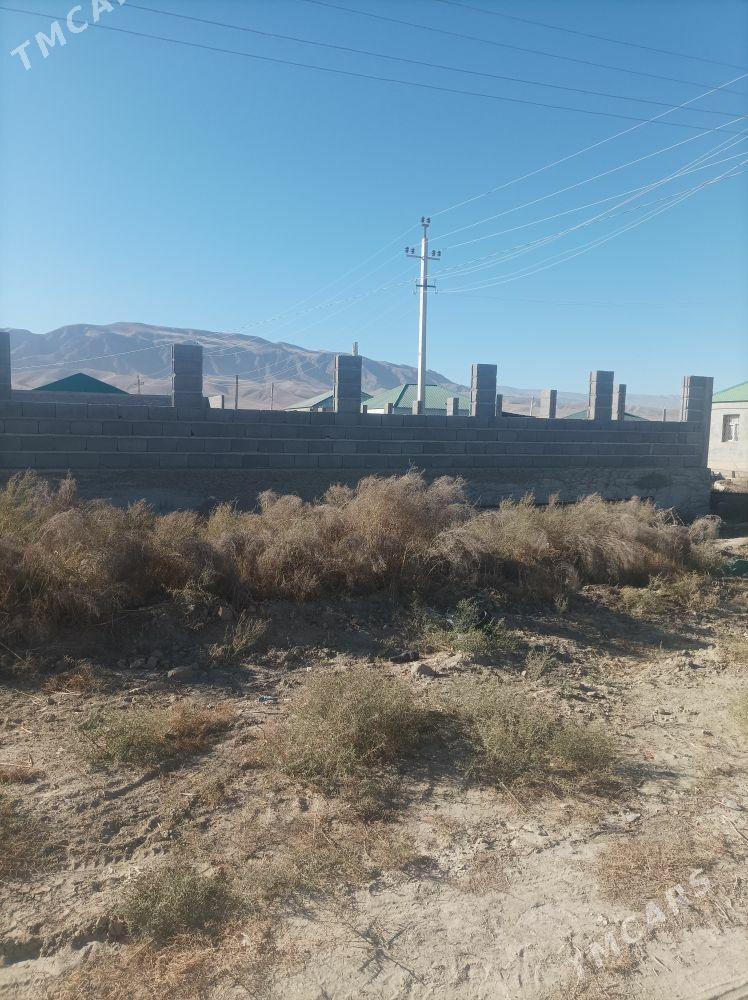 Gäwers Bereketli Äne - Ak bugdaý etraby - img 3