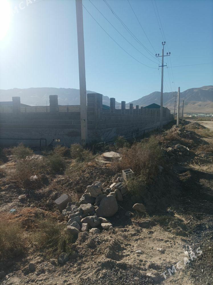 Gäwers Bereketli Äne - Ak bugdaý etraby - img 5