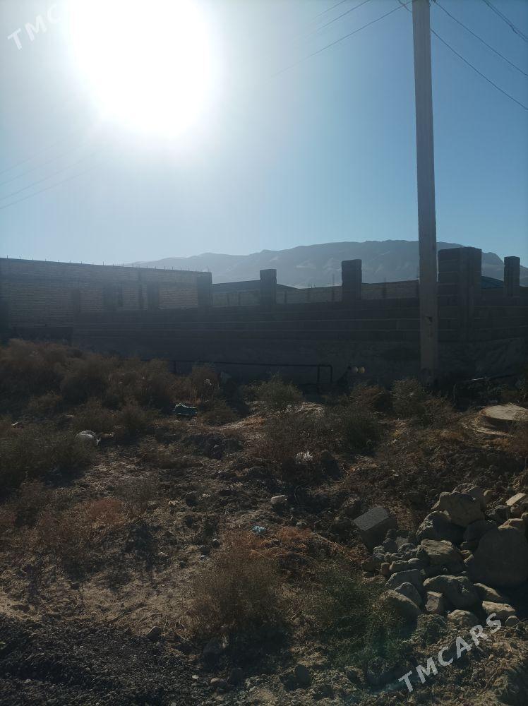 Gäwers Bereketli Äne - Ak bugdaý etraby - img 6