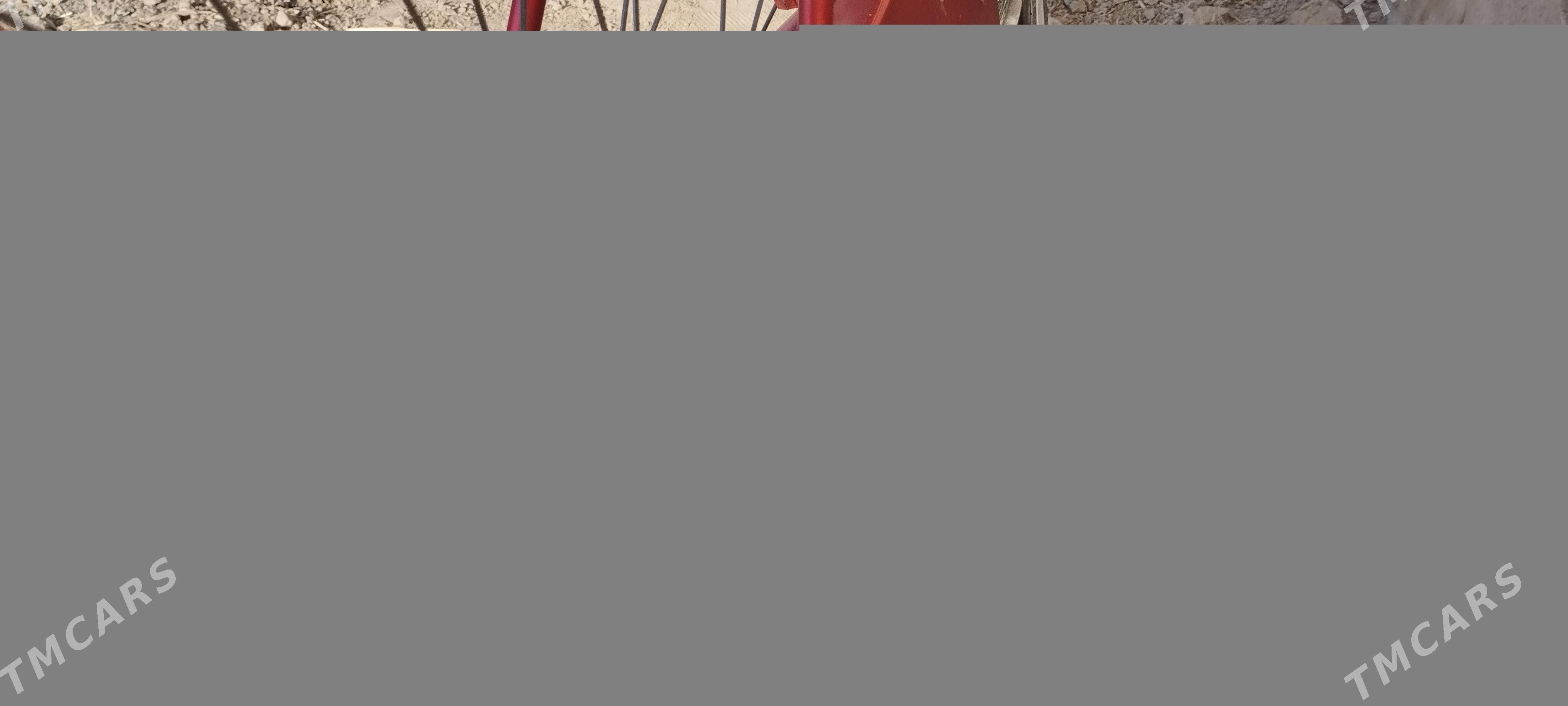 welsepet - Mary - img 3