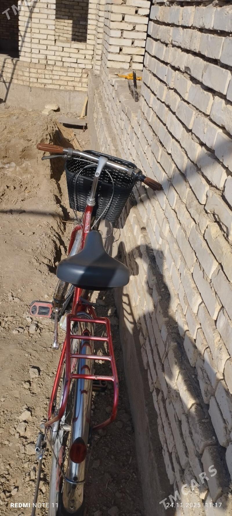 welsepet - Mary - img 2