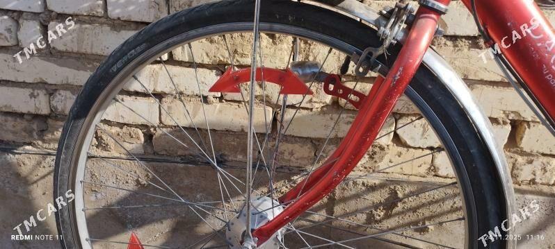 welsepet - Mary - img 5