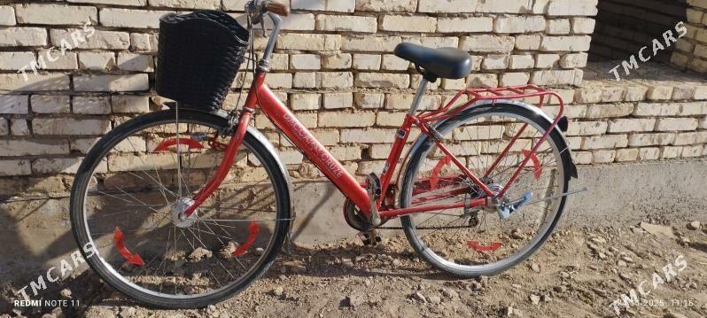 welsepet - Mary - img 4