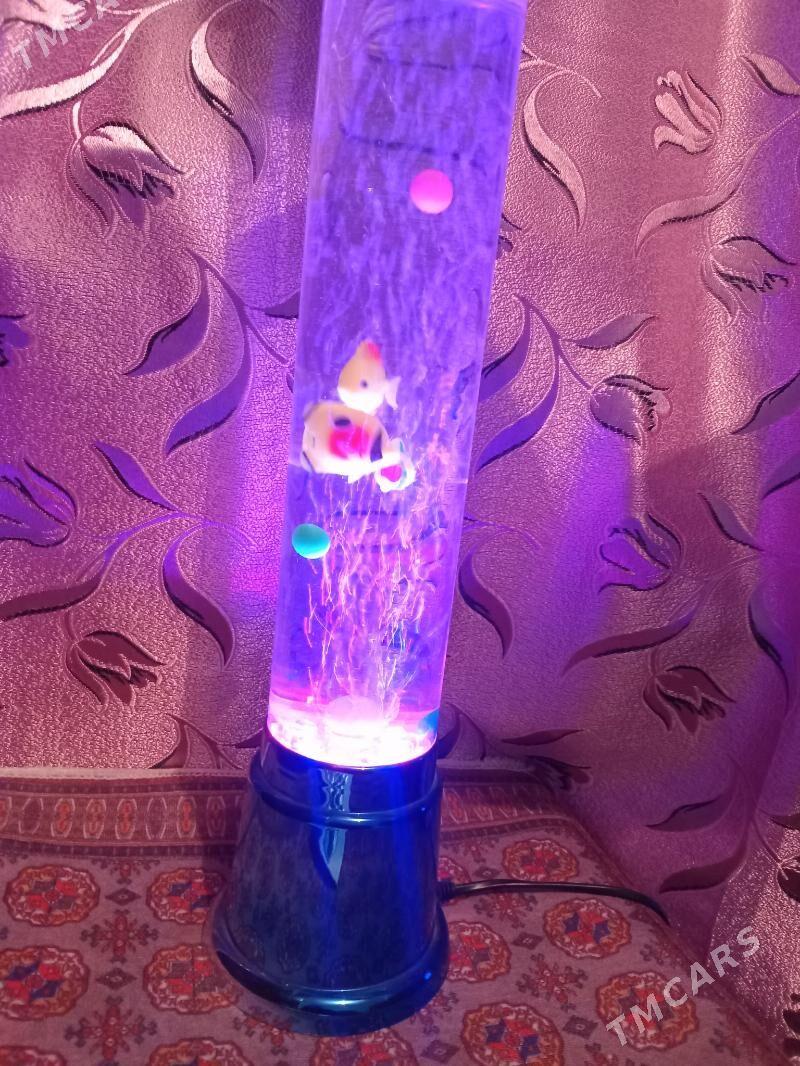 аквариум - Туркменабат - img 4