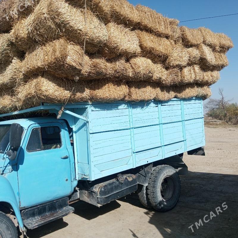 Saman - Aşgabat - img 3