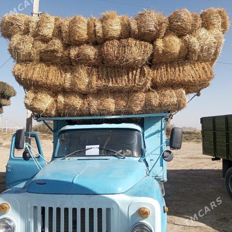 Saman - Aşgabat - img 2