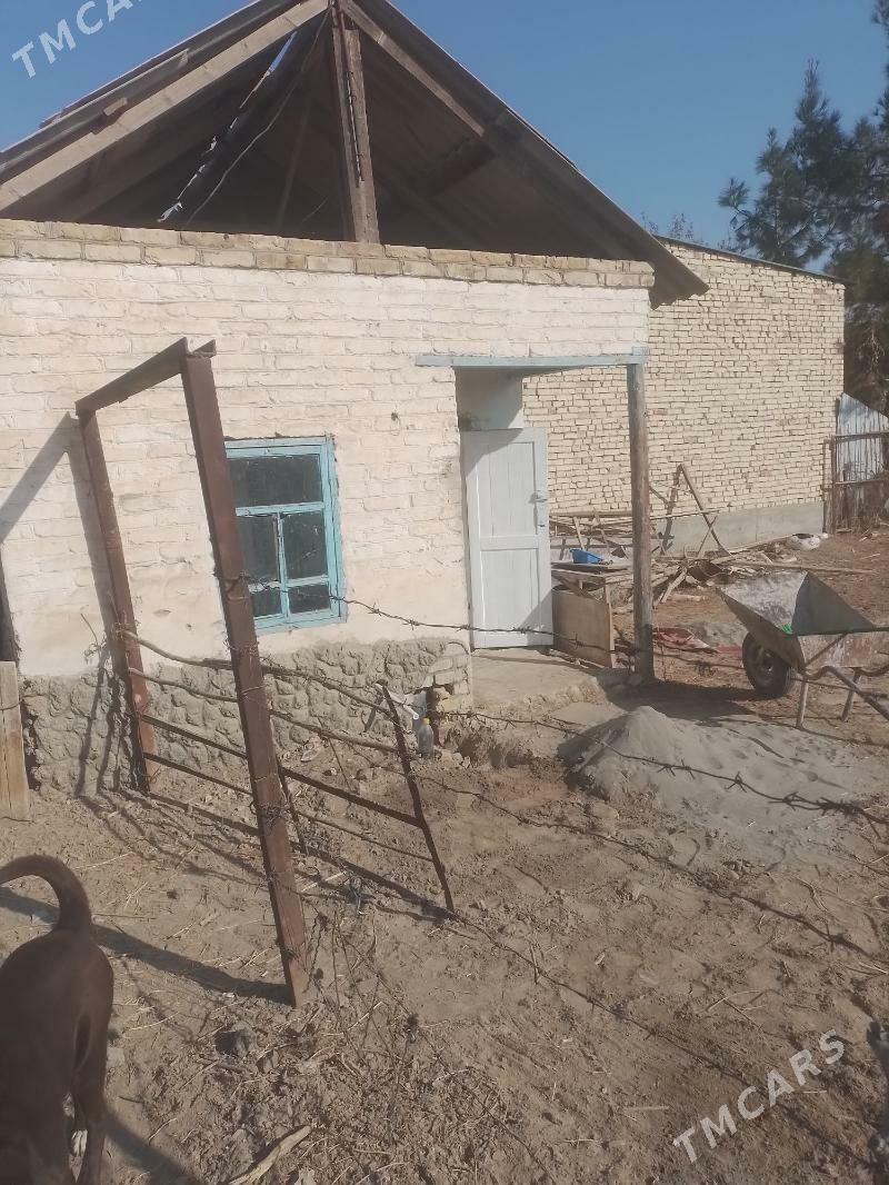 кв дача айрапорт - Türkmenabat - img 3