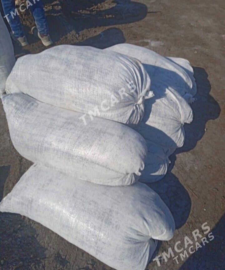 Ders - Aşgabat - img 2