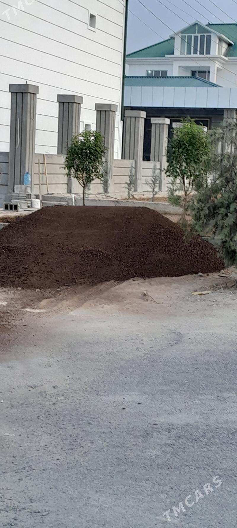 Ders - Aşgabat - img 4