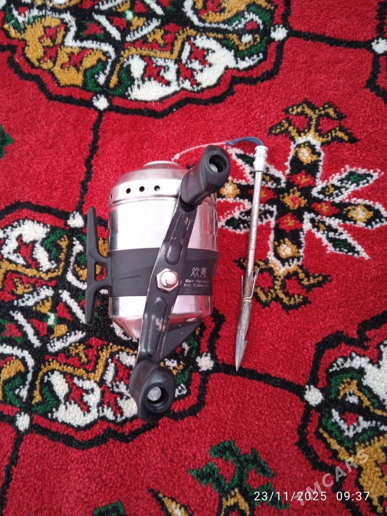 рыбами рогатки - Сакар - img 2