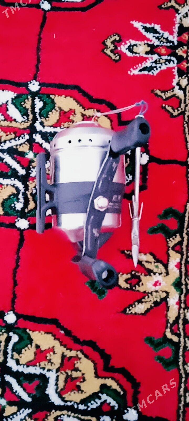 рыбами рогатки - Сакар - img 4