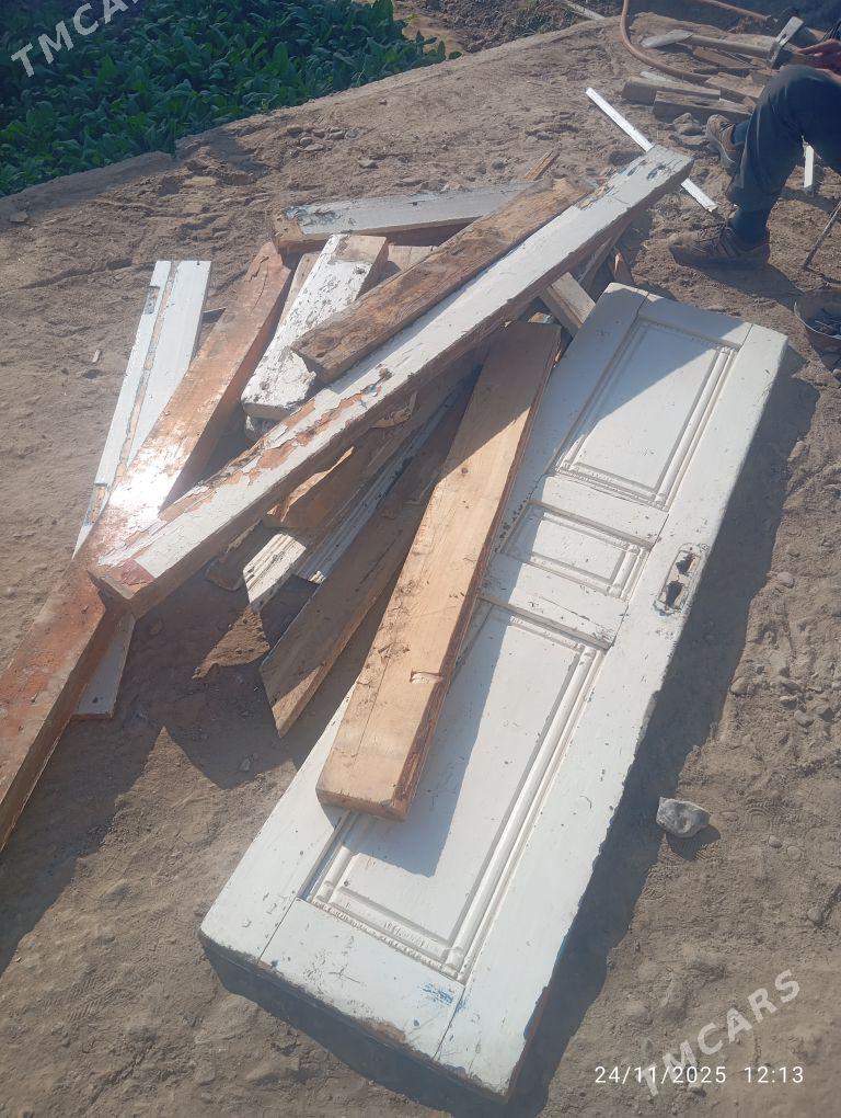 Polluk agac - Murgap - img 2